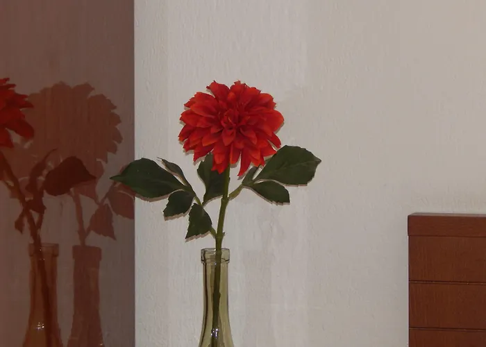 塞萨洛尼基克里皮斯公寓 *